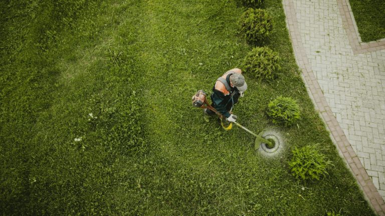 Comment choisir le coupe bordure pour son jardin