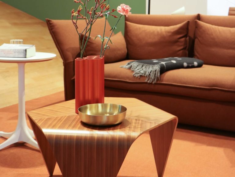 Coussins pour canapé marron: couleurs, motifs, matériaux