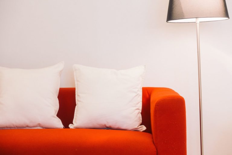 Coussins pour canapé rouge: couleurs, motifs, conseils de sélection et idées déco